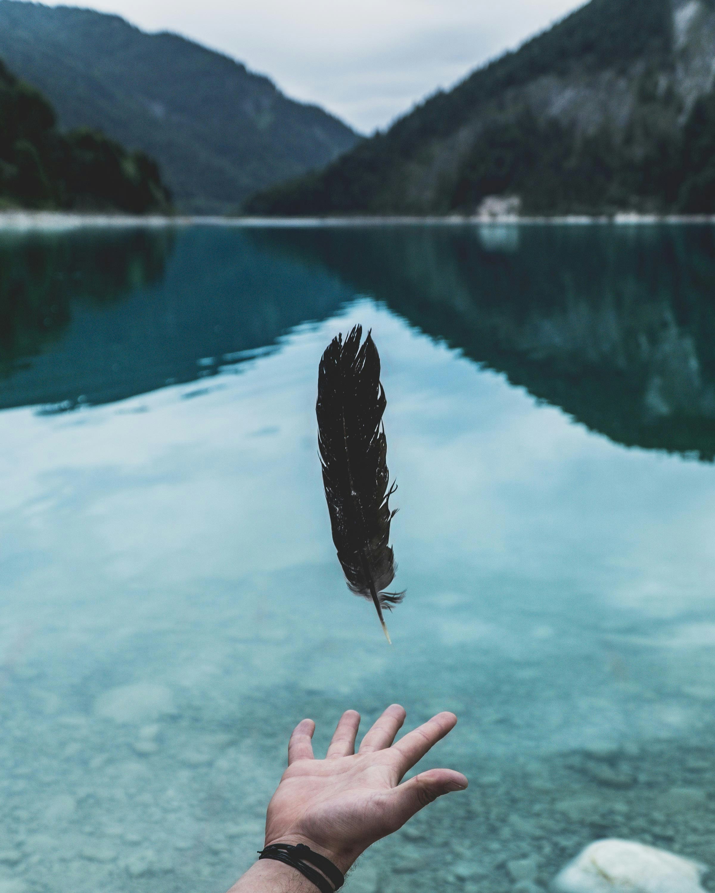[Photo by [Paul Pastourmatzis](https://unsplash.com/@paulpastourmatzis?utm_source=unsplash&utm_medium=referral&utm_content=creditCopyText) on [Unsplash](https://unsplash.com/photos/person-attempting-to-grab-feather-floating-beside-water-Vs_zkj1sEHc?utm_source=unsplash&utm_medium=referral&utm_content=creditCopyText)]